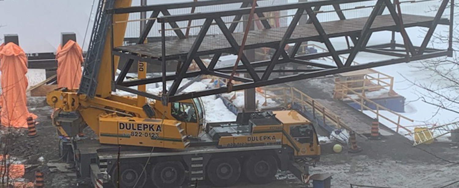 Dulepka-Cranes-03